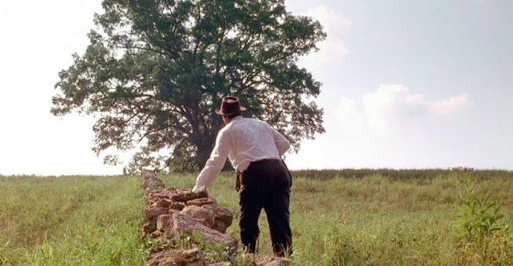 Shawshank Oak Tree | Fountain or Rollerball Pen